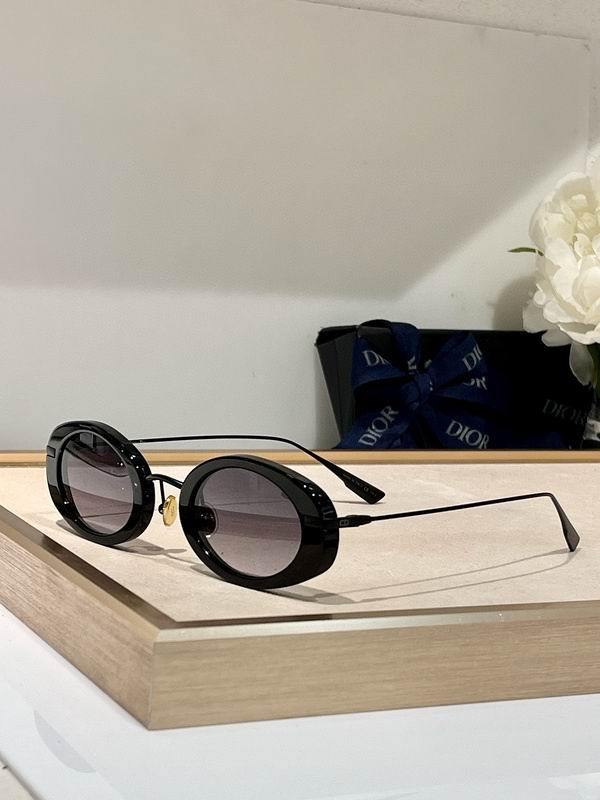 DIOR Sunglasses 251